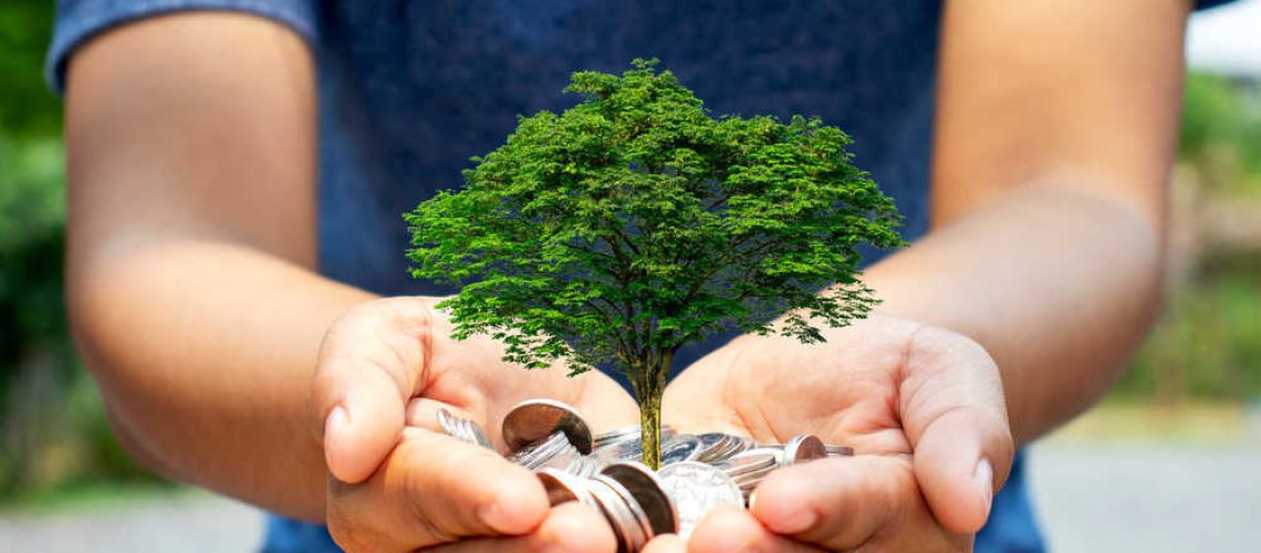 shutterstock_1710512377(FILEminimizer)